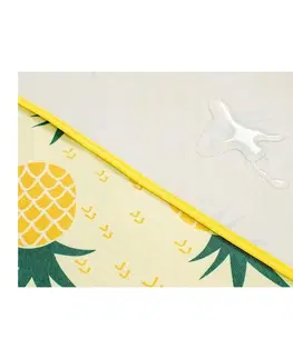 Piknikové deky Pikniková podložka s potiskem ananasu