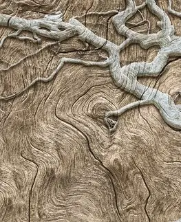 Obrazy stromy a listy Obraz abstraktní strom na dřevě v béžovém provedení