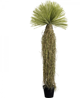 Umělé rostliny KARE Design Dekorativní rostlina Yucca 180cm