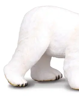Hračky COLLECTA - Medvěd Lední