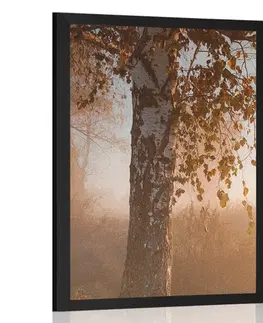 Příroda Plakát s paspartou mlhavý podzimní les