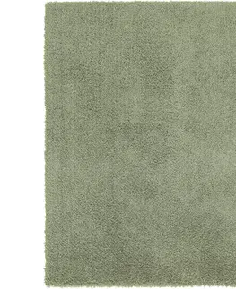 Koberce s vysokým vlasem SHAGGY KOBEREC Stefan 3, 160/230cm, Zelená