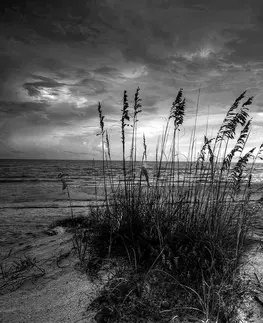 Černobílé tapety Fototapeta západ slunce na pláži v černobílém
