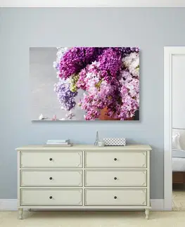 Obrazy květů Obraz šeřík v růžových odstínech