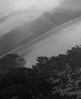 Černobílé obrazy Obraz řeka uprosted lesa v černobílém provedení
