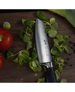 Kuchyňské nože Nůž na zeleninu IVO Premier 14 cm 90154.14