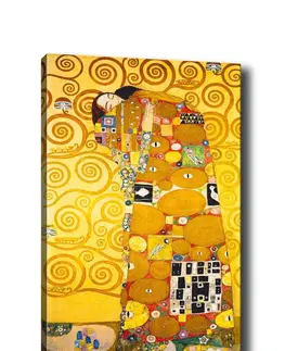 Obrazy Wallity Obraz na plátně Like the Gustav Klimt 50x70 cm