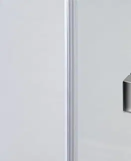 Sprchové kouty POLYSAN FORTIS LINE obdélníkový sprchový kout 800x900 L varianta FL1080LFL3590