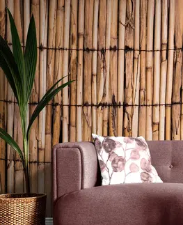 Samolepící tapety Samolepící fototapeta exotický bambus