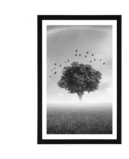 Černobílé Plakát s paspartou osamělý strom na louce v černobílém provedení