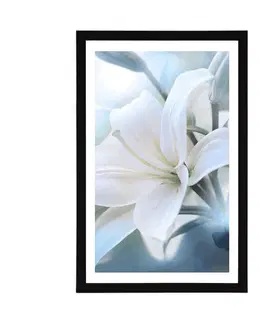 Květiny Plakát s paspartou bílý květ lilie na abstraktním pozadí