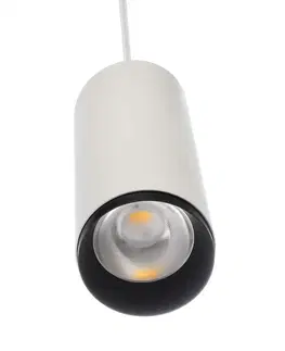 LED lustry a závěsná svítidla Light Impressions Deko-Light závěsné svítidlo Lucea 20 bílá 220-240V AC/50-60Hz 20,00 W 3000/4000 K 2000 lm bílá RAL 9016 342181