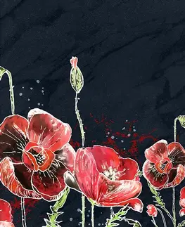 Tapety květiny Tapeta červené máky na černém pozadí