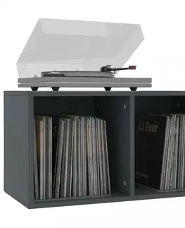 Úložné boxy Úložný box na LP desky dřevotříska Dekorhome Černá