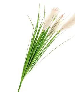 Květiny Tutumi Umělá tráva Pamp 90 cm krémová
