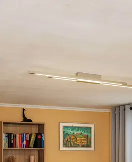 Stropní svítidla quitani Quitani Talon LED stropní 2x hliník/přírodní elox