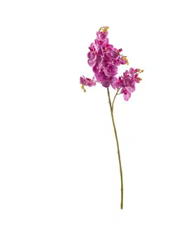 Umělé květiny Kvěina um.Orchid Fuchsia 55cm