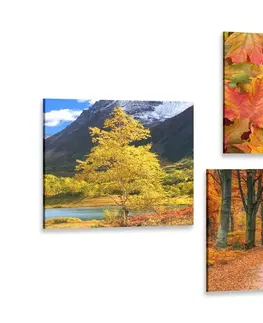 Sestavy obrazů Set obrazů podzimní příroda v nádherných barvách