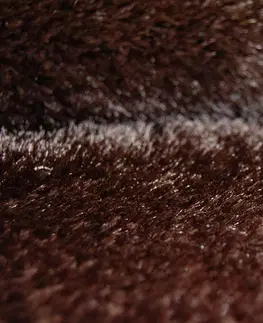Koberce a koberečky Dywany Lusczow Kusový koberec SHAGGY VERONA MIKE hnědý, velikost 160x220