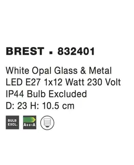 Klasická stropní svítidla NOVA LUCE stropní svítidlo BREST stropní svítidlo bílé opálové sklo a kov E27 2x12W 832401