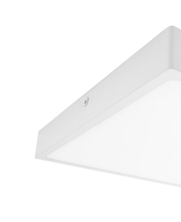 LED stropní svítidla Palnas stropní LED svítidlo Egon čtverec bílý 61003672