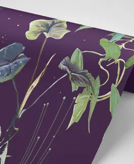 Samolepící tapety Samolepící tapeta rostliny na noční obloze