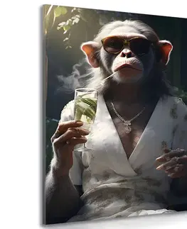 Obrazy zvířecí gangsteři Obraz zvířecí gangster opice