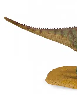 Hračky Collecte - pachycephalosaurus