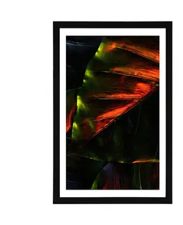 Příroda Plakát s paspartou tropické palmové listy