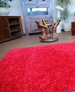 Koberce a koberečky Dywany Lusczow Kusový koberec SHAGGY Izebelie 5cm bordó, velikost 300x400