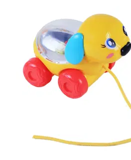 Hračky RAPPA - Pes tahací s kuličkami