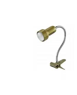 Lampy  Lampa s klipem LOLEK 1xE14/24W/230V zlatá 