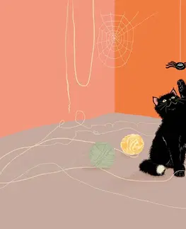 Dětské tapety Tapeta hravá kočka s klubky