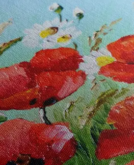 Obrazy květů Obraz červené máky v poli