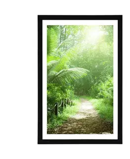 Příroda Plakát s paspartou cestička na ostrově Seychely