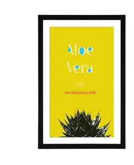 Motivy z naší dílny Plakát s paspartou zázračná Aloe Vera