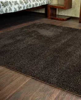 Koberce a koberečky Dywany Lusczow Kusový koberec SHAGGY MICRO hnědý, velikost 180x270