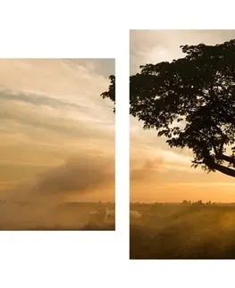 Obrazy přírody a krajiny 5-dílný obraz slon při východu slunce