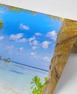 Samolepící tapety Samolepící fototapeta relax v tropickém resortu
