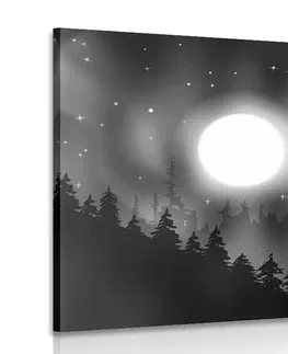 Černobílé obrazy Obraz vlčí měsíc v černobílém provedení