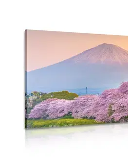 Obrazy přírody a krajiny Obraz nádherné Japonsko