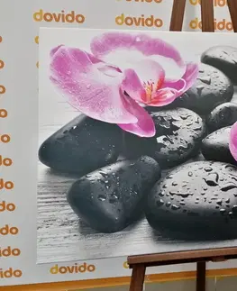Obrazy Feng Shui Obraz krásná souhra kamenů a orchideje