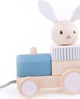 Dřevěné hračky Bigjigs Toys Dřevěný vláček se zvířátky TRAIN