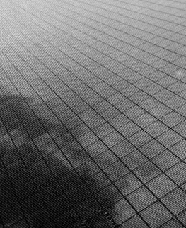 Černobílé obrazy Obraz mrakodrap v černobílém provedení