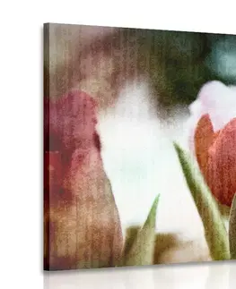 Obrazy květů Obraz louka tulipánů v retro stylu