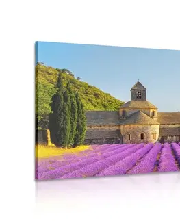 Obrazy města Obraz Provence s levandulovými poli