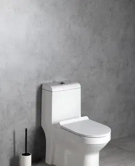 Záchody SAPHO HUBERT WC kombi, spodní/zadní odpad, bílá PB304