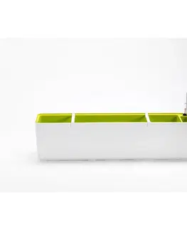 Truhlíky Plastia Samozavlažovací truhlík Berberis 80, bílá + zelená