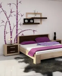Ložnice Viki ARTBm Manželská postel VIKI 10 | s roštem Barva: Bílá / bílý lesk