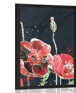 Květiny Plakát červené máky na černém pozadí